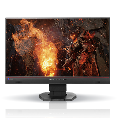 EIZO PROFESSIONAL COLOR DISPLAY Flexscan LCD 23.8" - Gaming (FS2434)	