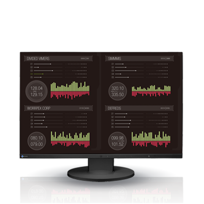 EIZO PROFESSIONAL COLOR DISPLAY Flexscan LCD 24.1" (EV2455-BK)	