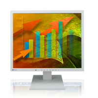 EIZO PROFESSIONAL COLOR DISPLAY Flexscan LCD 17" (S1703-H-BK)	