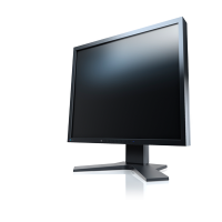 EIZO PROFESSIONAL COLOR DISPLAY Flexscan LCD 19" (S1933H-BK)	
