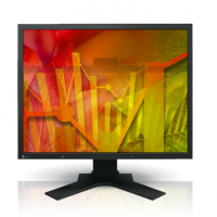 EIZO PROFESSIONAL COLOR DISPLAY Flexscan LCD 21.3" (S2133-BK)	