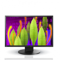 EIZO PROFESSIONAL COLOR DISPLAY Flexscan LCD 22" (EV2216W-FS3-BK)	