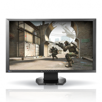 EIZO PROFESSIONAL COLOR DISPLAY Flexscan LCD 23.5" - Gaming (FG2421)	