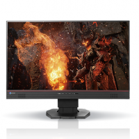 EIZO PROFESSIONAL COLOR DISPLAY Flexscan LCD 23.8" - Gaming (FS2434)	