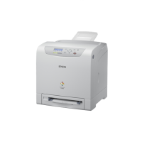 EPSON C2900n