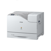 EPSON Color Laser Printer AcuLaser C500DN (C11CC12001H1)