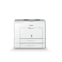 EPSON Mono Laser Printer AcuLaser M300DN (C11CC64021H1)