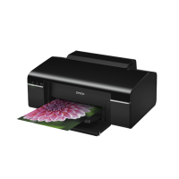 EPSON Photo T50 Single Function Printer (C11CA45421)
