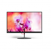 Lenovo ThinkVision X24 23.8"