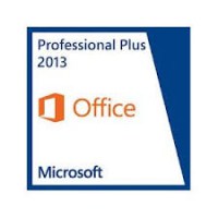 Microsoft Office Professional Plus (79P-04749)