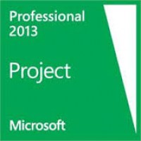 Microsoft Project Professional (H30-04073)