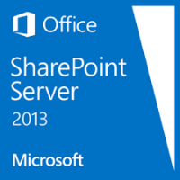 Microsoft SharePoint Server (76P-01501)