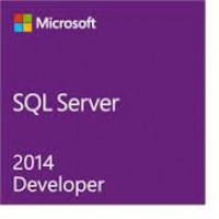 Microsoft SQL Server Developer Edition (E32-01166)