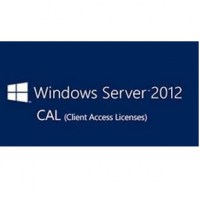 Microsoft Windows Server CAL (R18-04281)